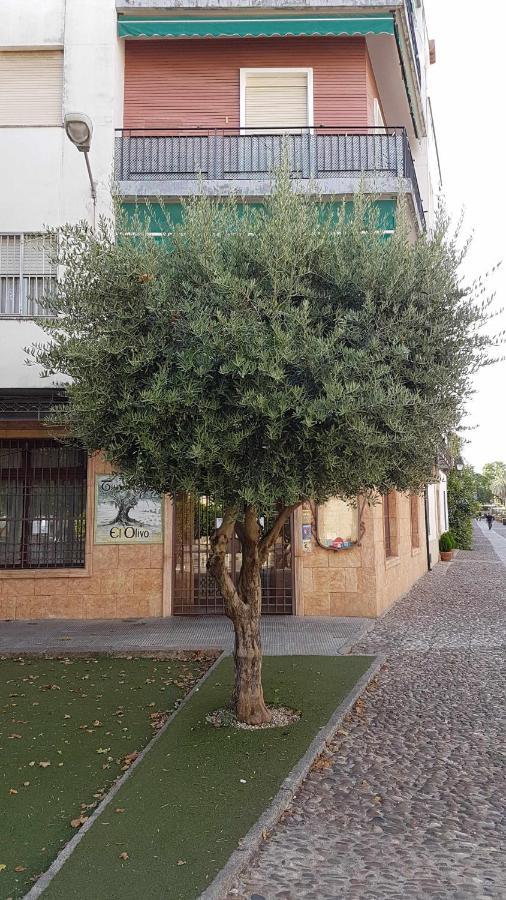קורדובה Fantastico Apartamento Junto A La Juderia מראה חיצוני תמונה